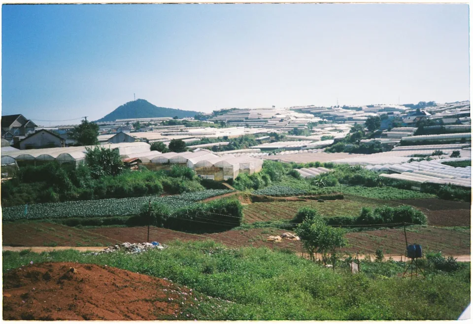 Nông sản đang có hàng